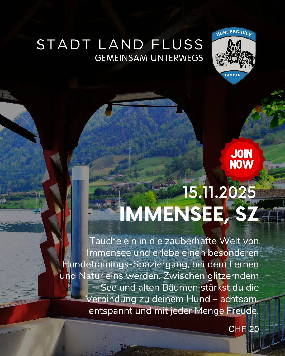 Hund und Mensch beim Stadttraining für alltagsnahe Übungen