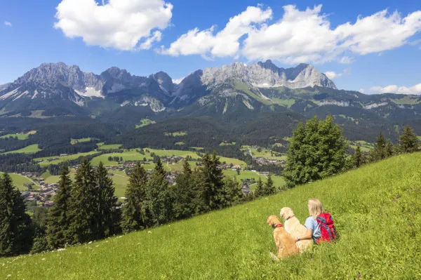 Hund und Wanderer vor imposanter Berglandschaft in Österreich
