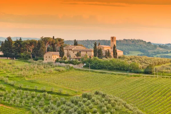 Hund vor malerischer italienischer Landschaft mit Zypressen