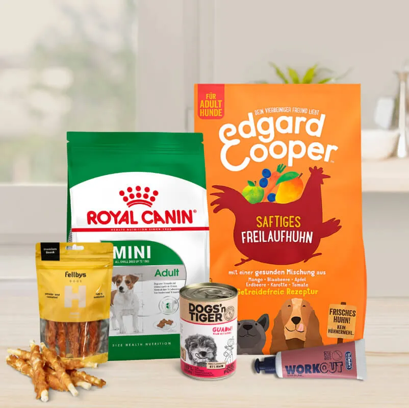 Hundefutter für eine ausgewogene Ernährung