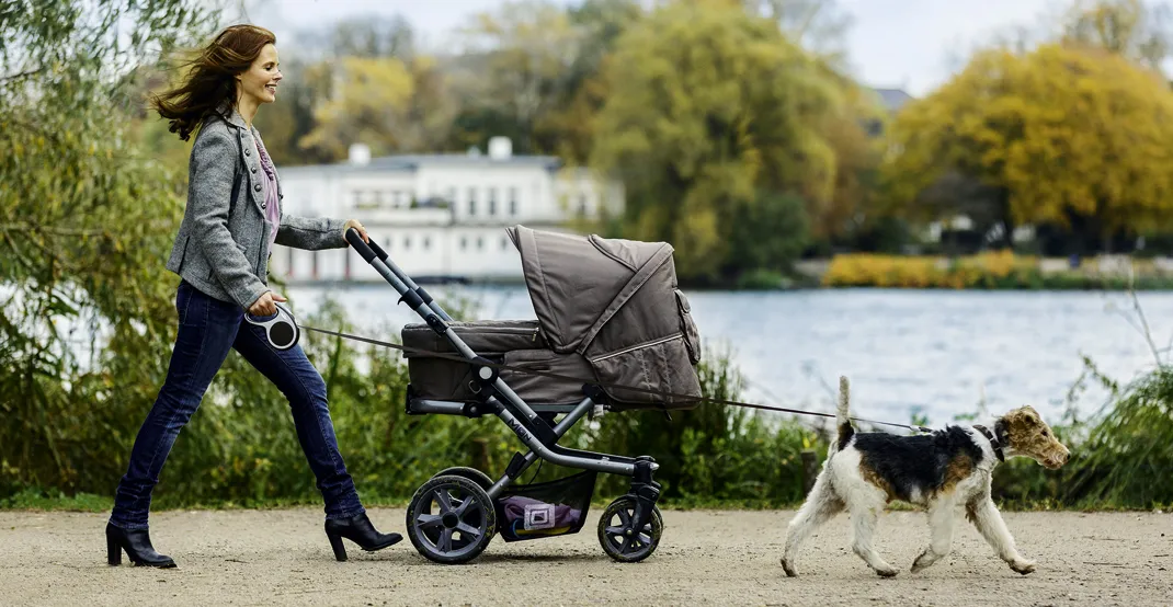 Hundespaziergang mit flexi Leine und Kinderwagen: Sicherheit und Kontrolle im Alltag
