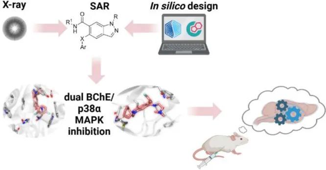 Hypothese zur Entwicklung eines dualen hBChE/p38α MAPK-Inhibitors