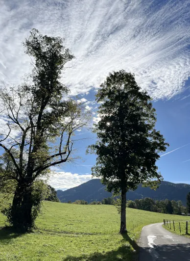 Idyllische Gasse in Gmund mit bunten Blumenkästen und bayerischer Architektur