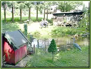 Idyllischer Hotelpark des Hotel zur Erholung mit Teichen und Wiesen im Harz