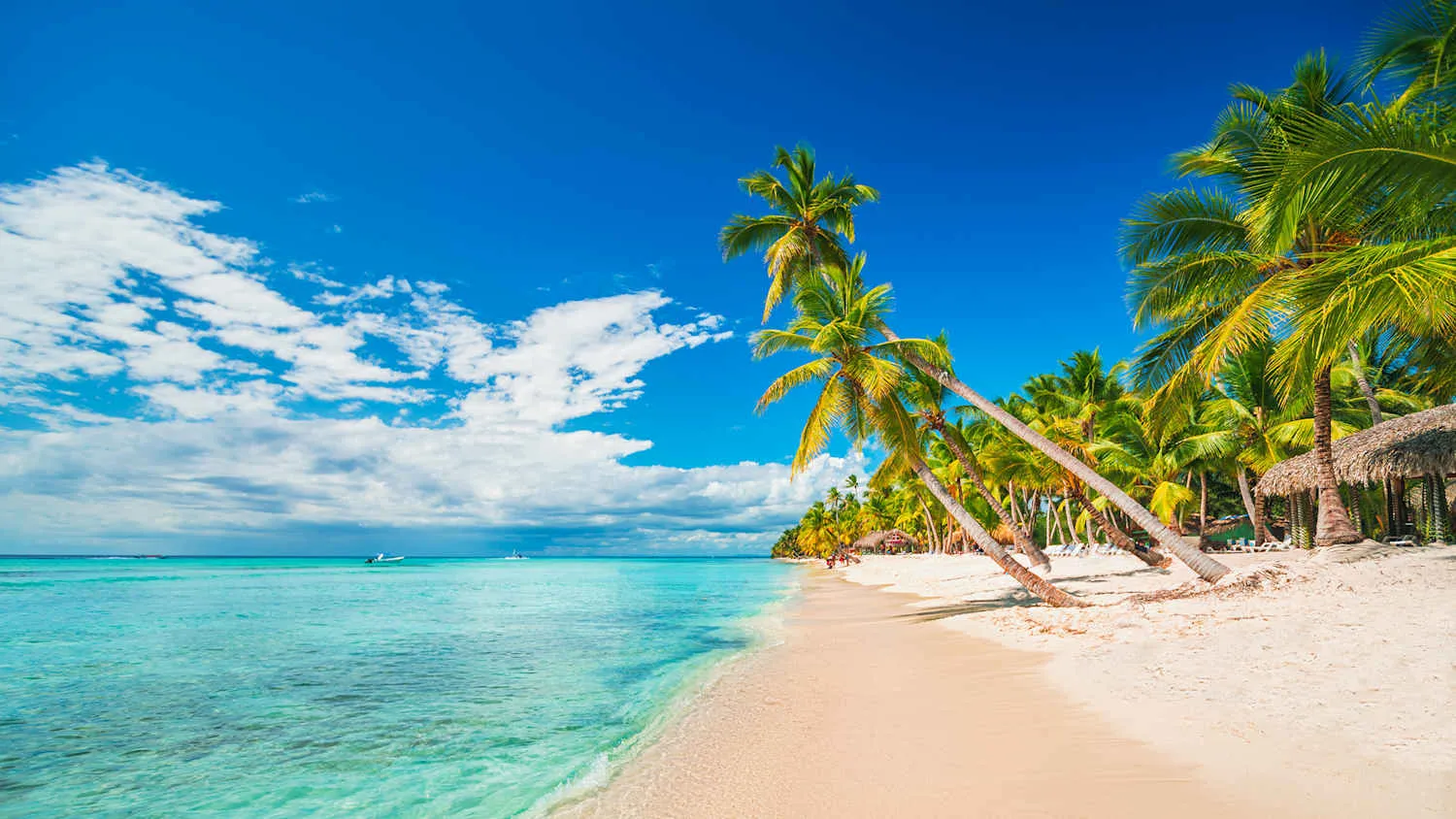 Idyllischer Strand auf Saona Island mit Palmen und türkisblauem Meer, ein perfektes Ziel für die Reisezeit in der Dominikanischen Republik