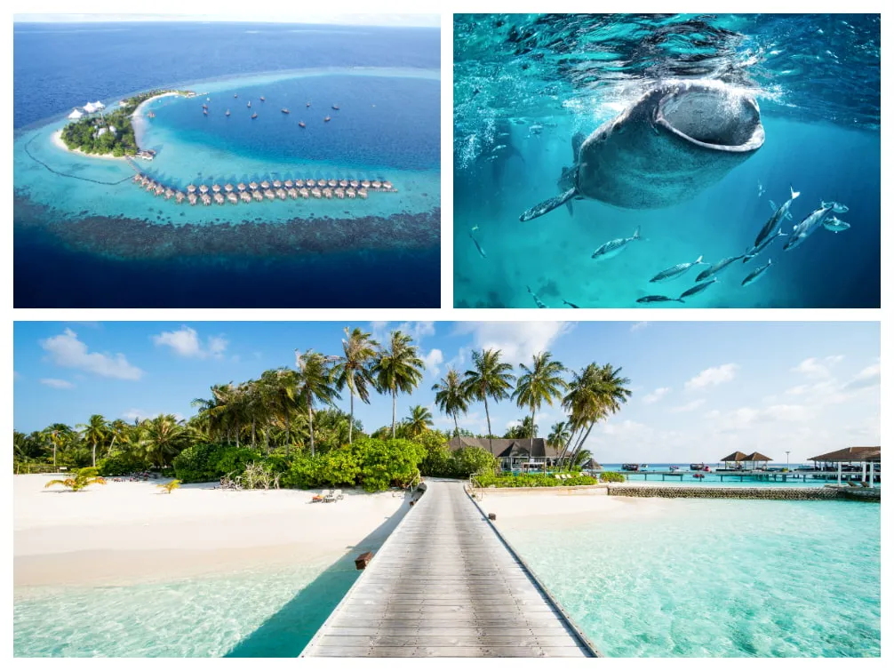 Idyllischer Strand mit Palmen auf den Malediven