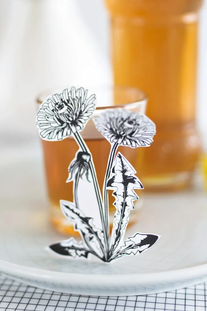 Illustration einer Löwenzahnpflanze mit Blüte und Wurzeln, symbolisch für ihre Heilkraft