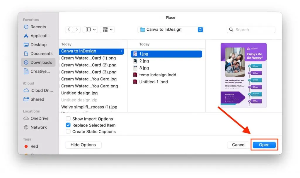 InDesign Platzieren-Option