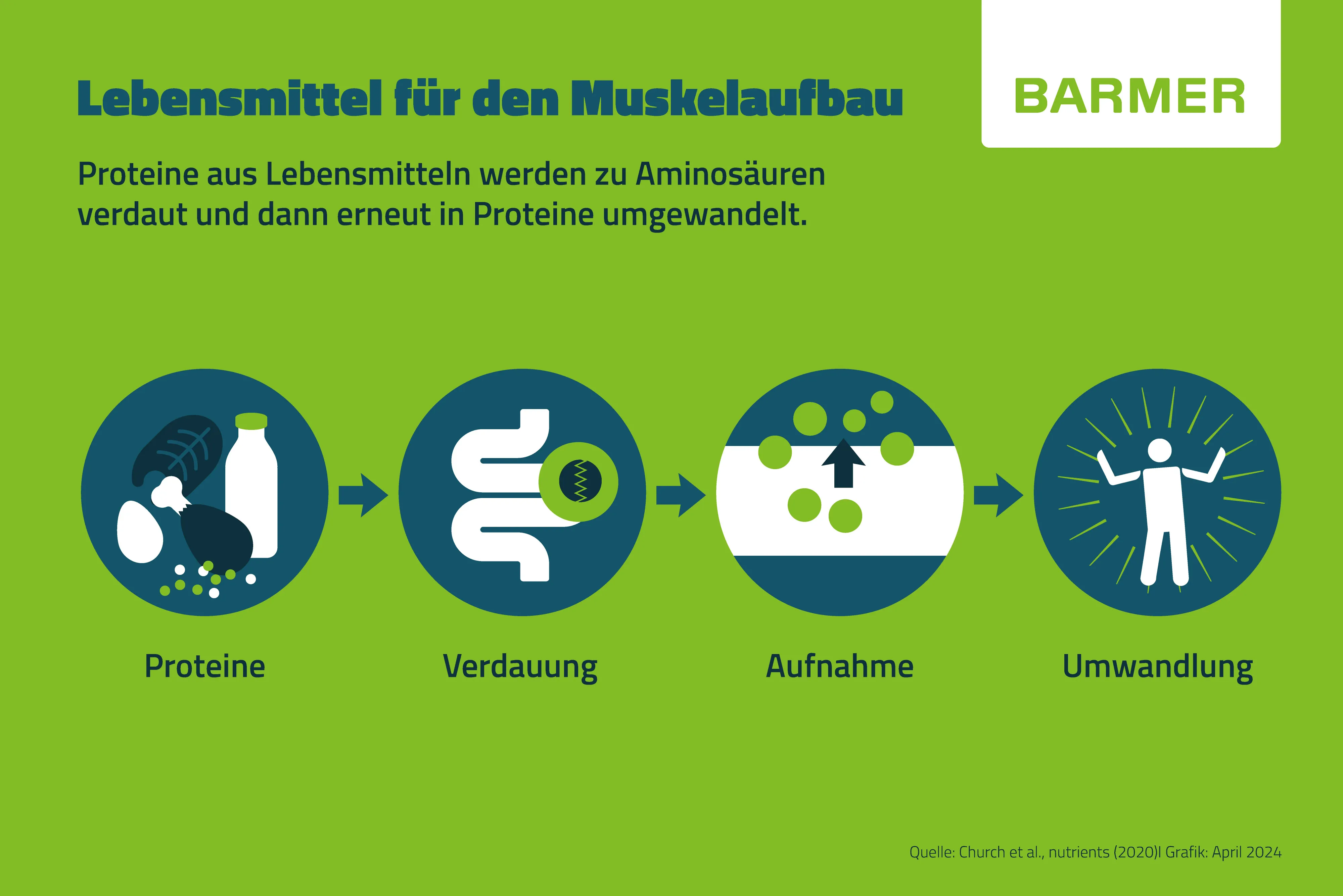 Infografik: Deutsche natürliche Eiweißquellen für effektiven Muskelaufbau und eine ausgewogene Fitness-Ernährung.