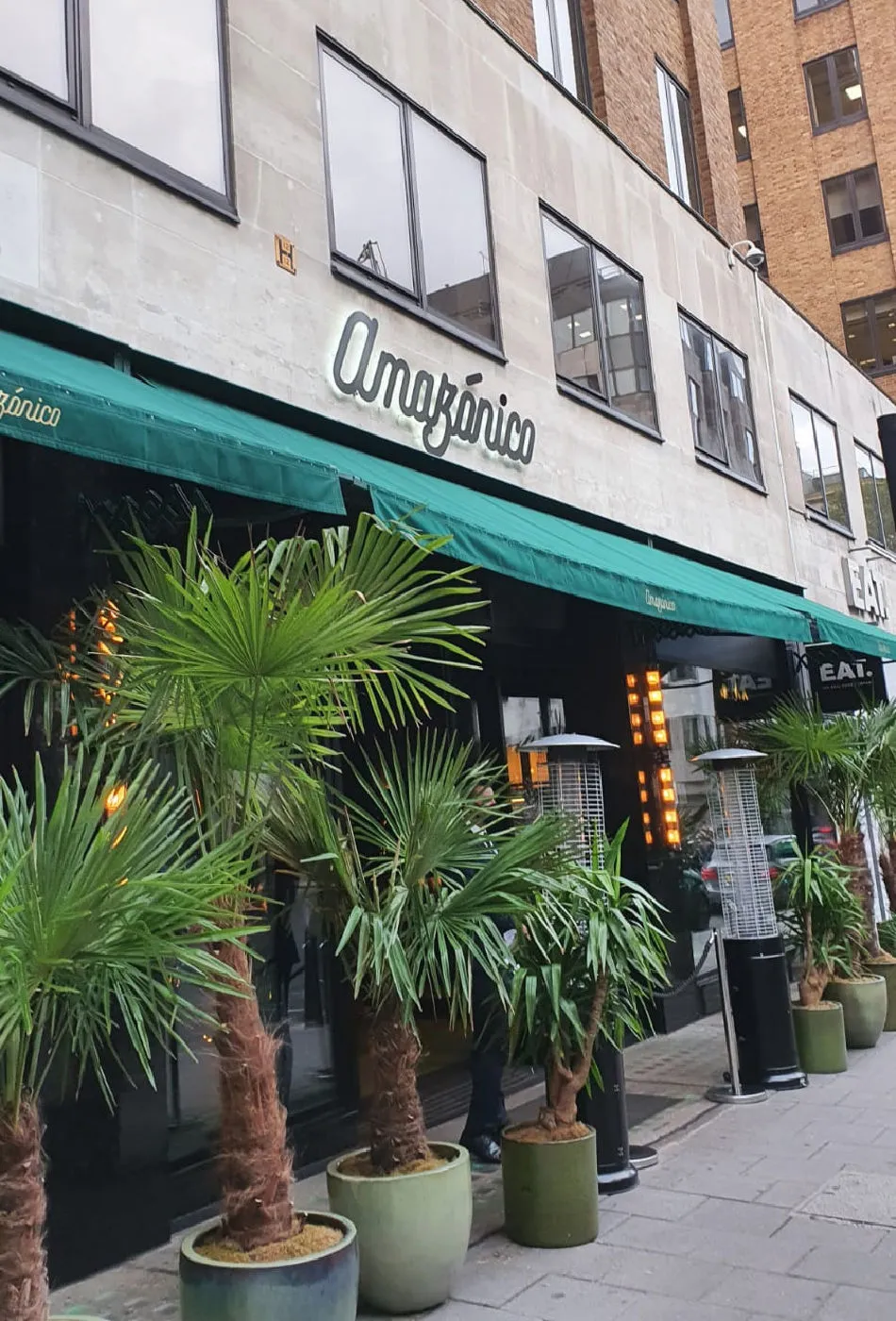 Innenansicht des Amazonico London mit üppiger Bepflanzung und exotischer Dekoration