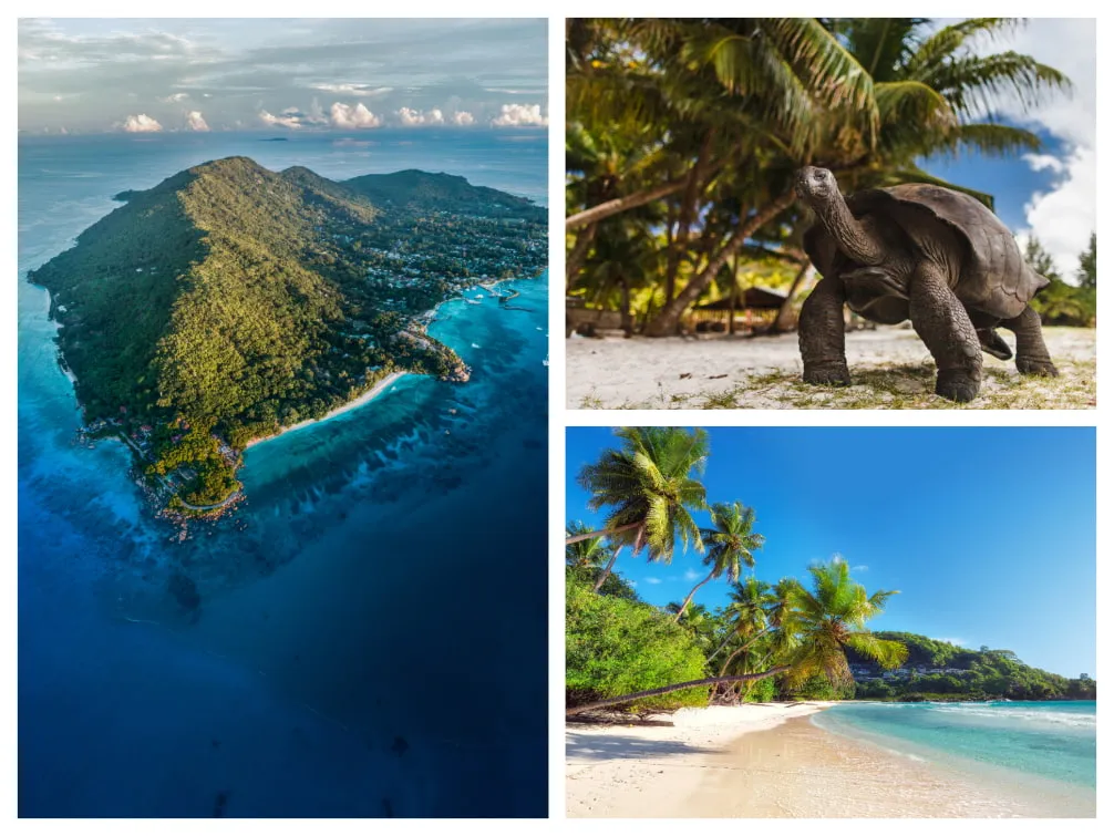 Insel La Digue, Riesenschildkröten auf Curieuse und der Anse Takamaka Strand auf Mahé – Seychellen im Juni