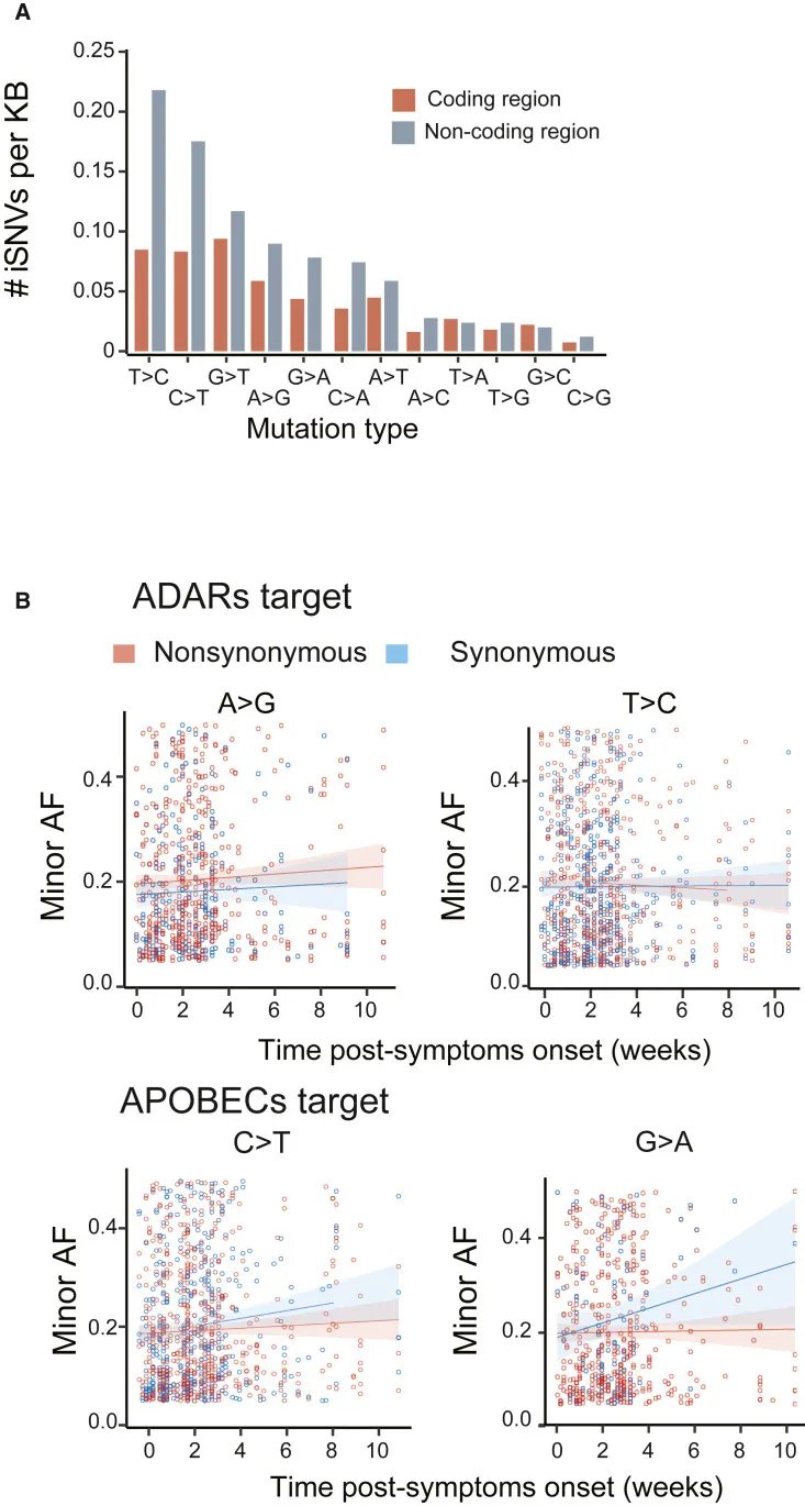 iSNV-Verteilungen verschiedener Mutationstypen