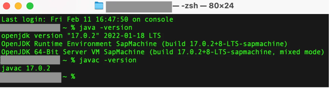Java Version Screenshot
