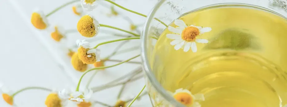 Kamillentee in einer Tasse mit frischen Kamillenblüten für die Zubereitung einer Gurgellösung bei Halsschmerzen.