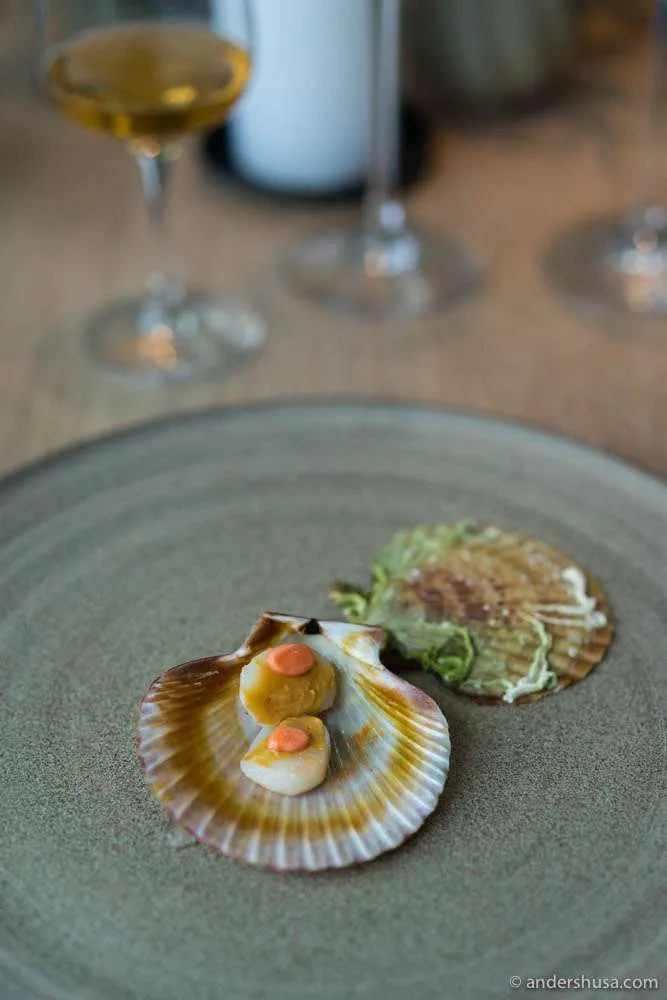 Kammmuschel mit Rogen und Johannisbeer-Fudge