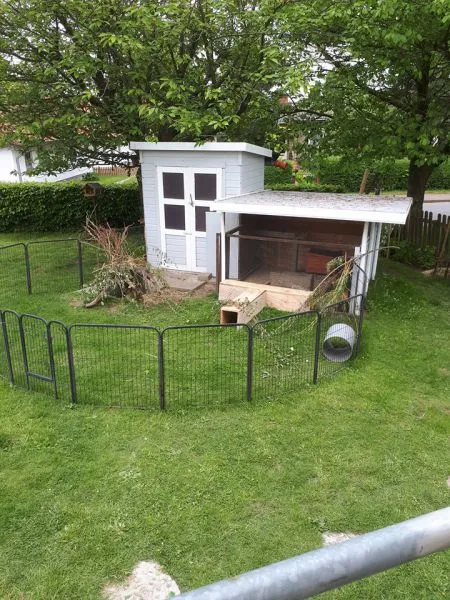 Kaninchengehege mit integriertem Auslauf, das artgerechte Bewegung und frische Luft für Hasen als Haustier im Garten sicherstellt