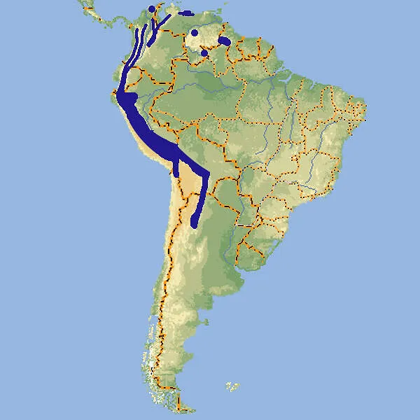Karte des ungefähren Vorkommensgebiets des Großen Veilchenohrkolibris in Südamerika, relevant für den Artenschutz und die natürliche Verbreitung von Kolibris.