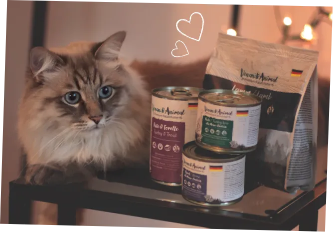 Katze mit Venandi Animal Futterdosen und Beutel für das Futter-Abo