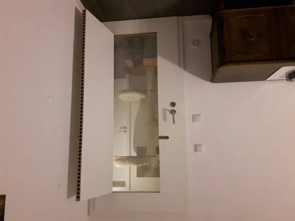 Katze schläft in einem Körbchen