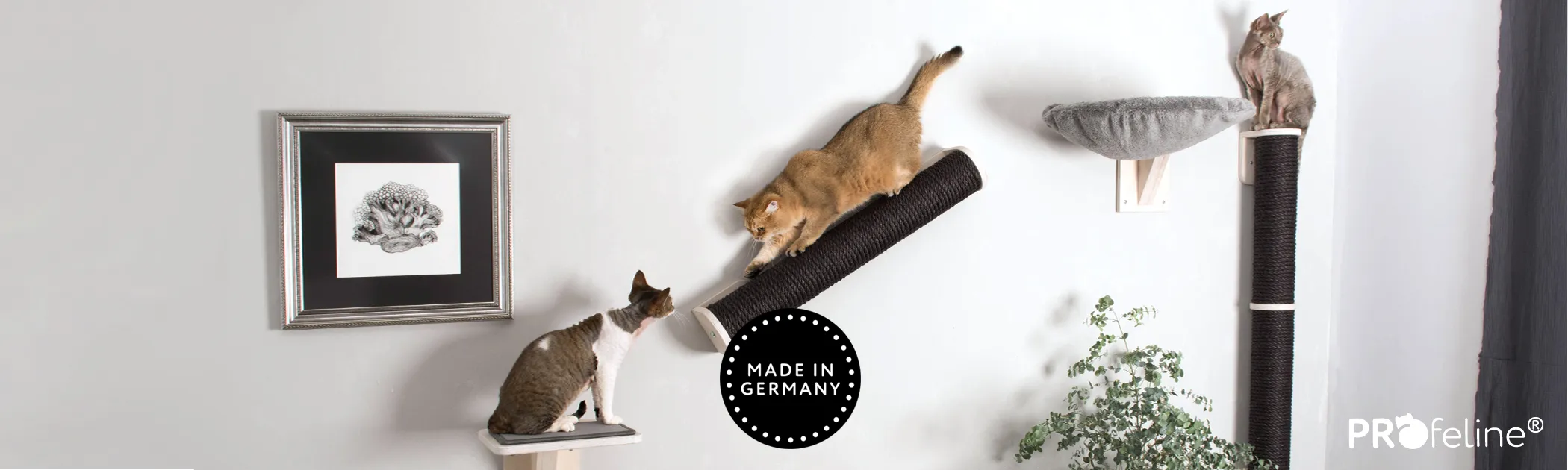 Katzen Kletterwand grau schwarz