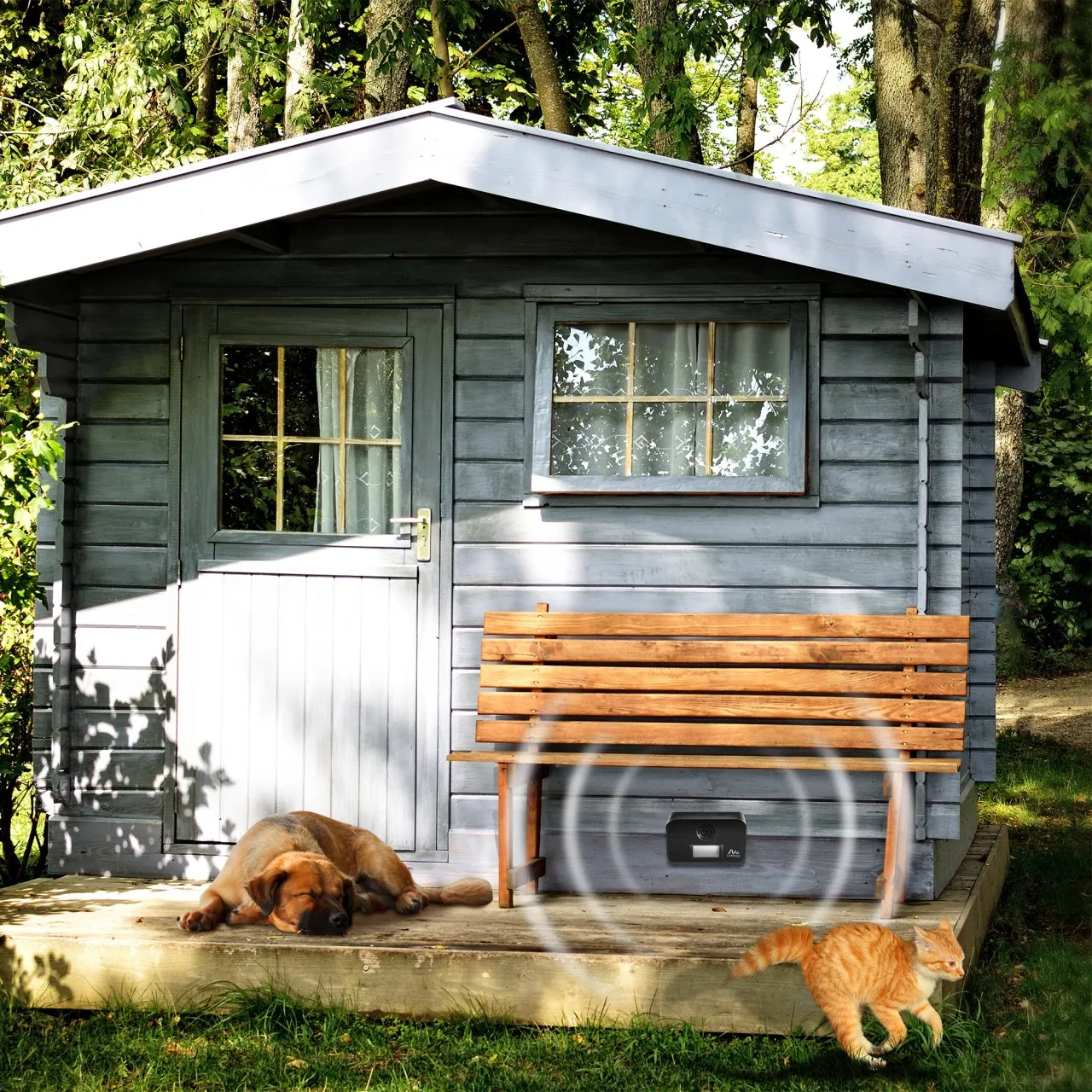 Katzen vertreiben mit Ultraschalltechnologie