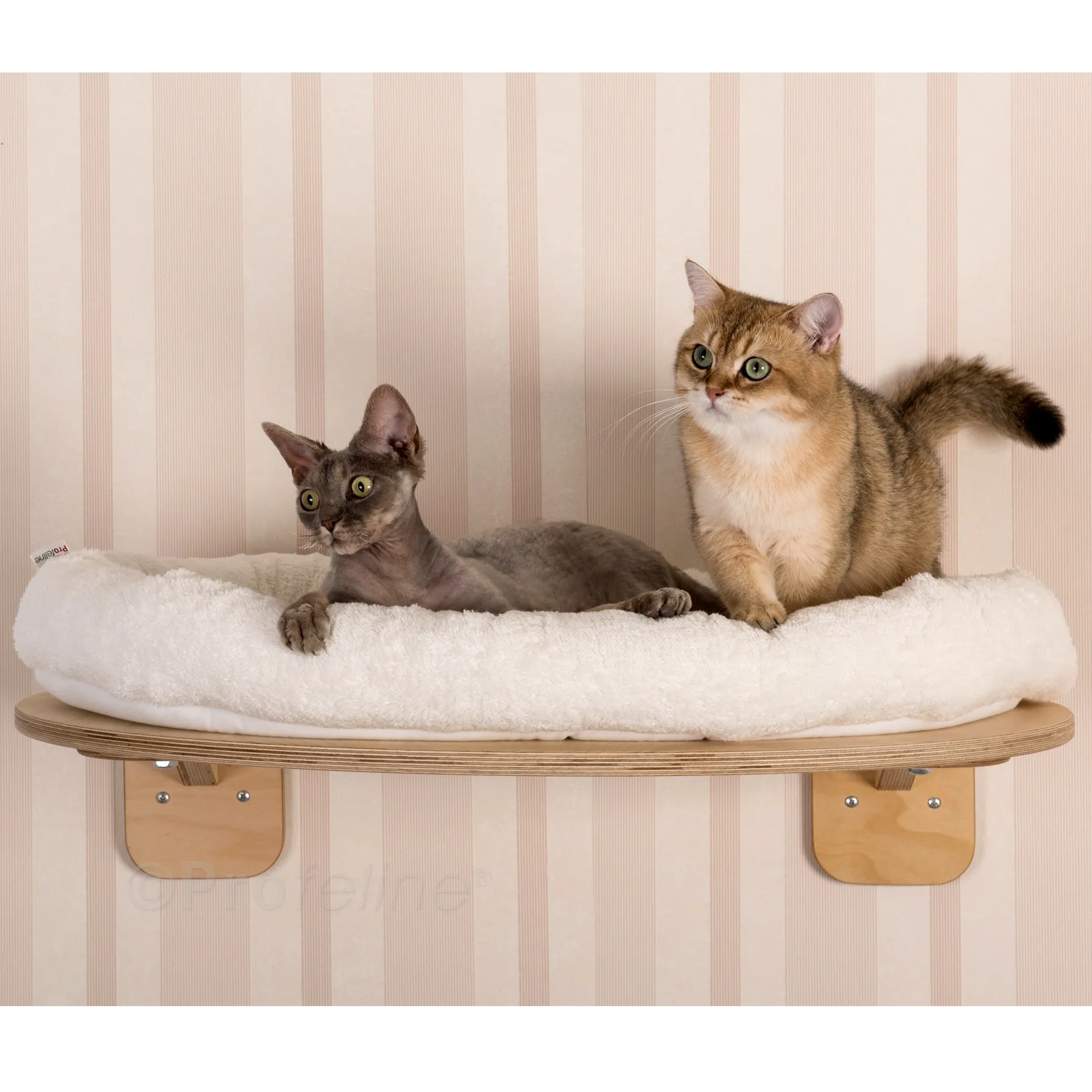 Katzen Wandkletterteppich