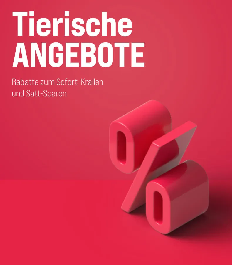 Katzenpfoten auf einer Vorlegematte