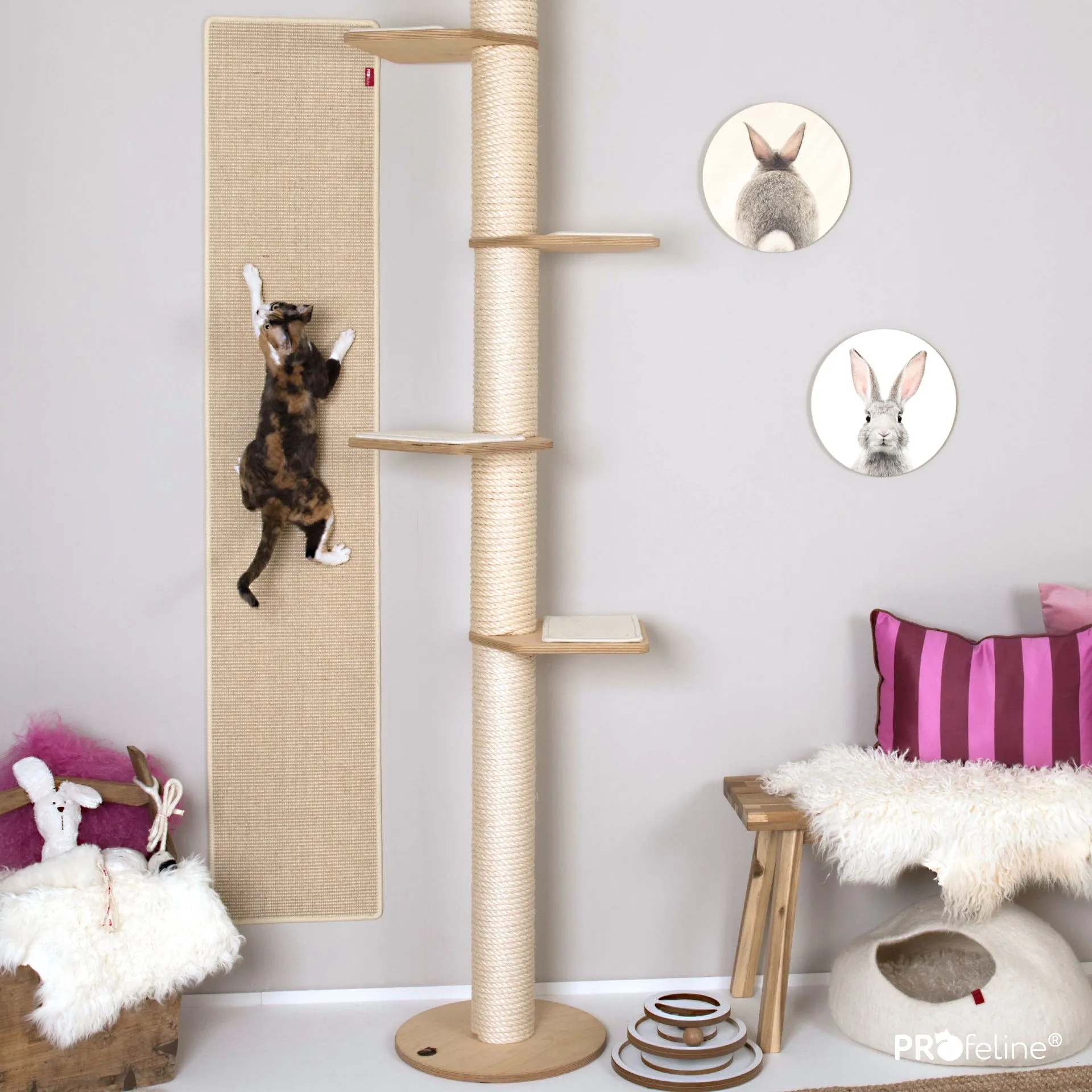 Katzenzimmer Kratzbaum Kletterteppich