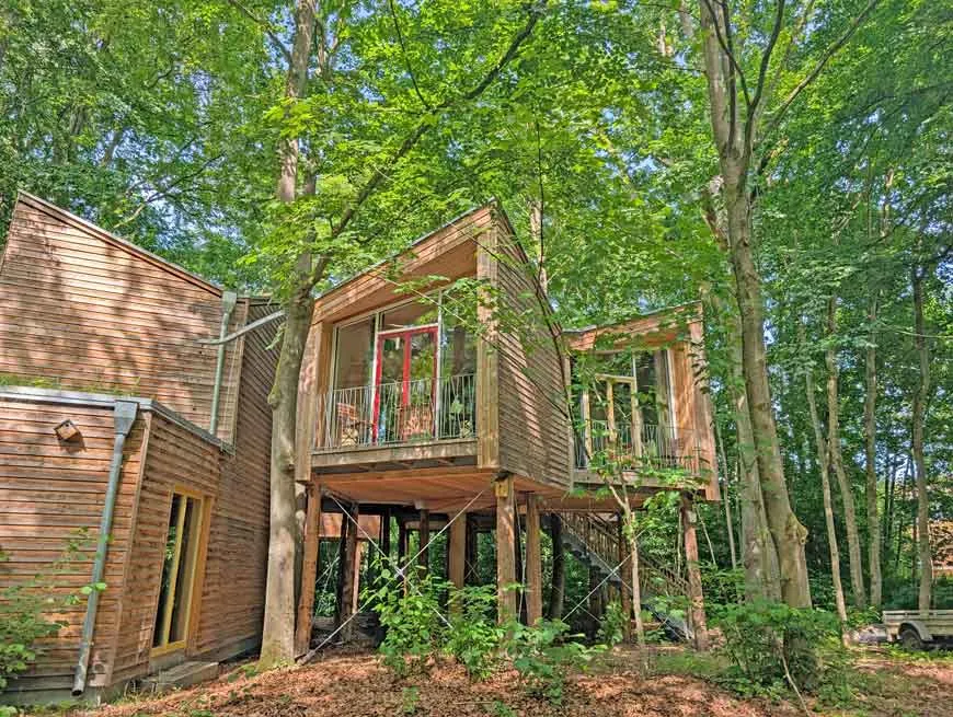 Kenny, der Wolfsberater, zeigt die Umgebung der Wolfshöhle