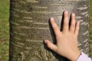 Kind balanciert auf einem Baumstamm