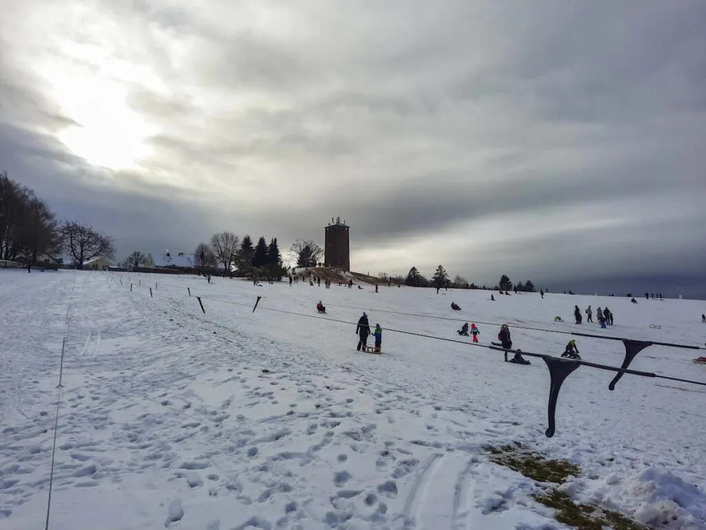 Kinder beim Rodeln am verschneiten Hang am Dobel, ein beliebter Ort für winterliche Outdoor-Aktivitäten im Schwarzwald