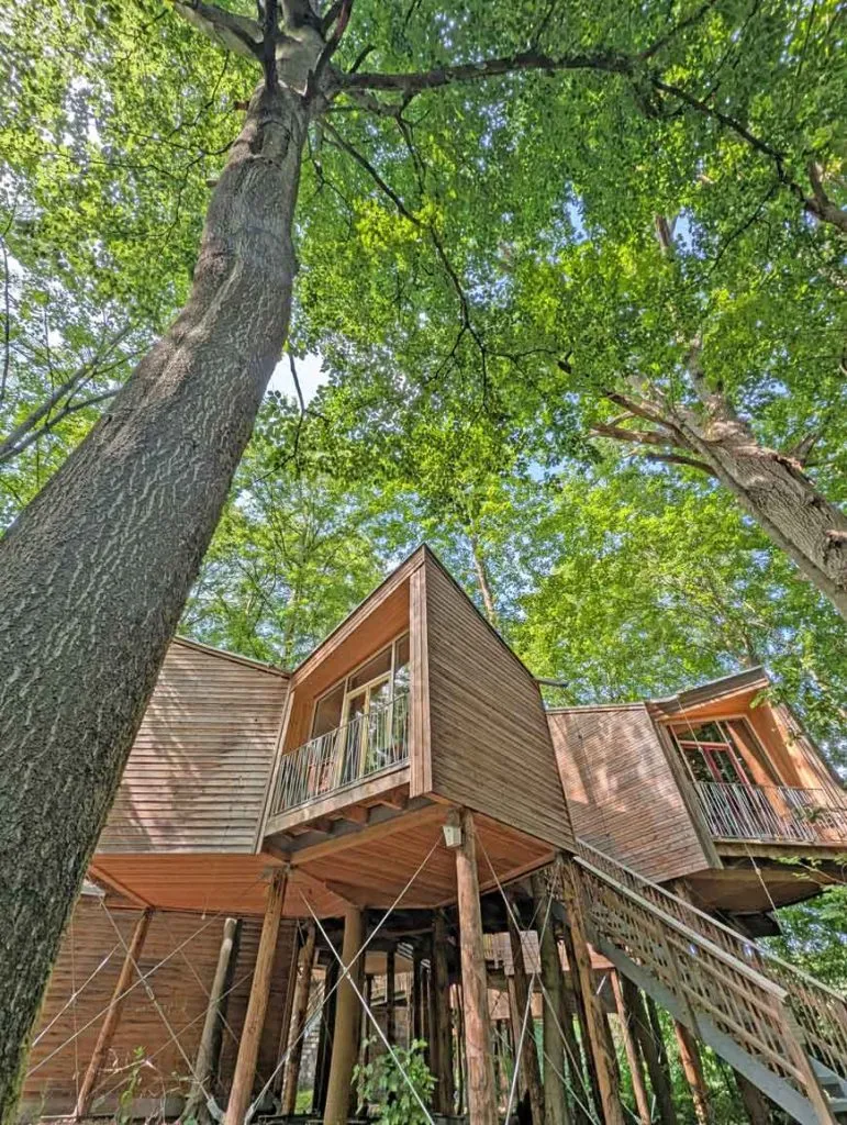 Kinder freuen sich über die Hochebene in ihrem Baumhauszimmer