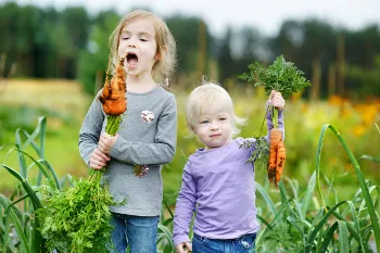 Kinder mit geerntetem Gemüse auf einem Feld