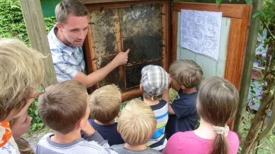 Kindergruppe lernt einen Bienenstock kennen