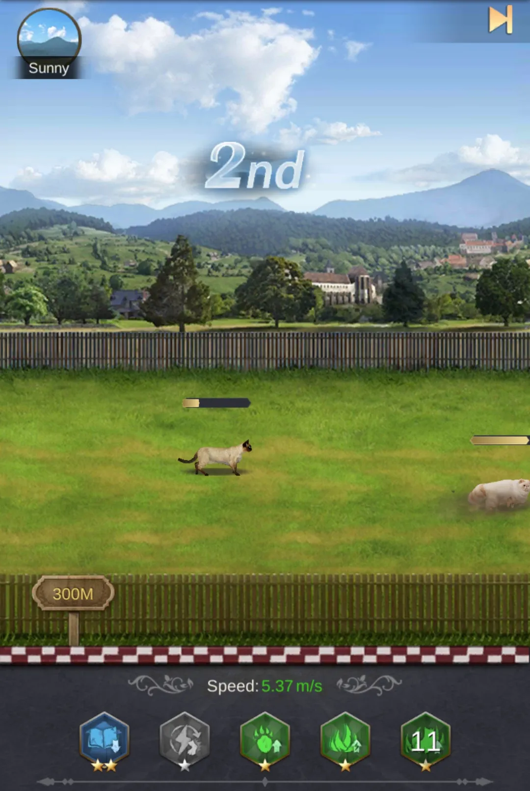 King's Choice Haustierrennen Übersicht