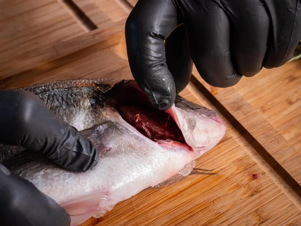 Klare Augen und leuchtend rote Kiemen sind eindeutige Zeichen für einen fangfrischen Fisch, ideal zum Grillen.