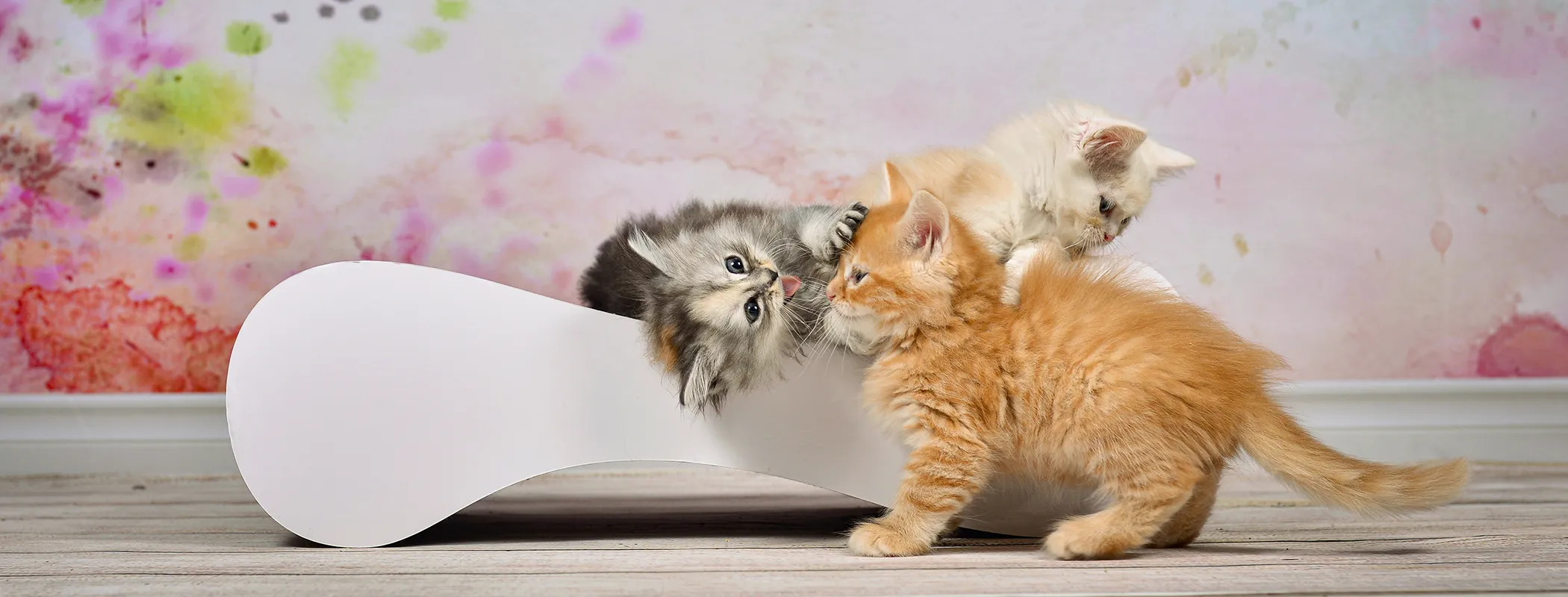 Kleines, weißes Katzensofa LE VER S aus Wellpappe für Kitten und kleine Katzen