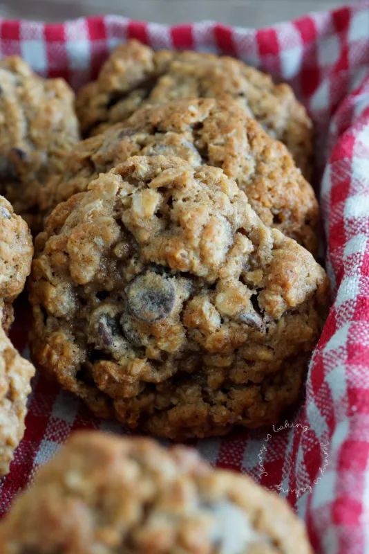 Knusprige Haferkekse mit Schokostückchen, appetitlich angerichtet