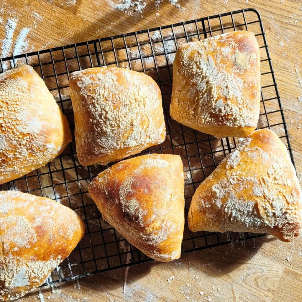 Knusprige Sauerteig Ciabatta frisch aus dem Ofen auf dem Backstahl, perfekt gebacken