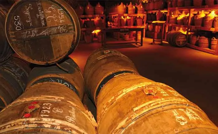 Kognak reift über Jahre in edlen Eichenholzfässern, die seinen Charakter prägen