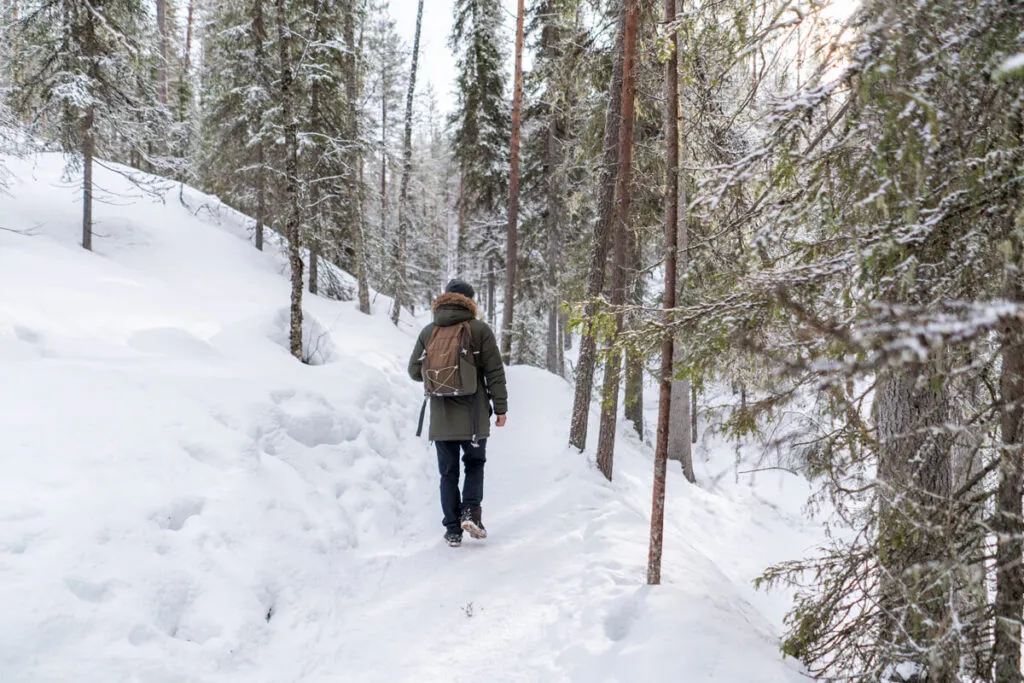 Korouoma Canyon Finnland