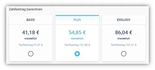 Kostenbeispiel für einen Projektmanager bei der Hannoverschen Risikolebensversicherung