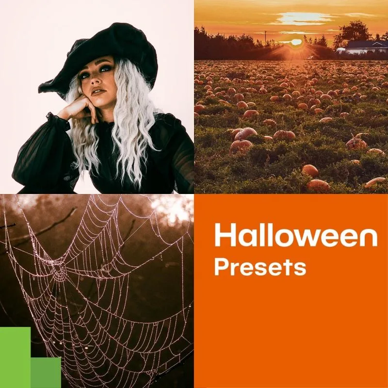 Kostenlose Halloween-Presets für Zoner Photo Studio zur Erzeugung gruseliger Stimmungen