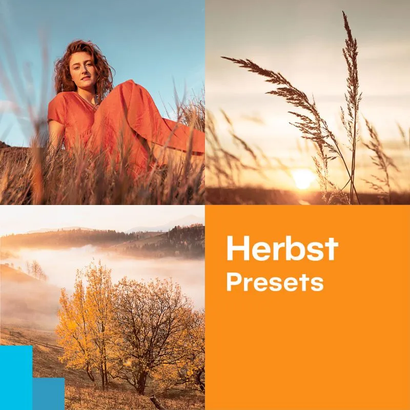 Kostenlose Herbst-Presets von Zoner Photo Studio für warme und gemütliche Bilder