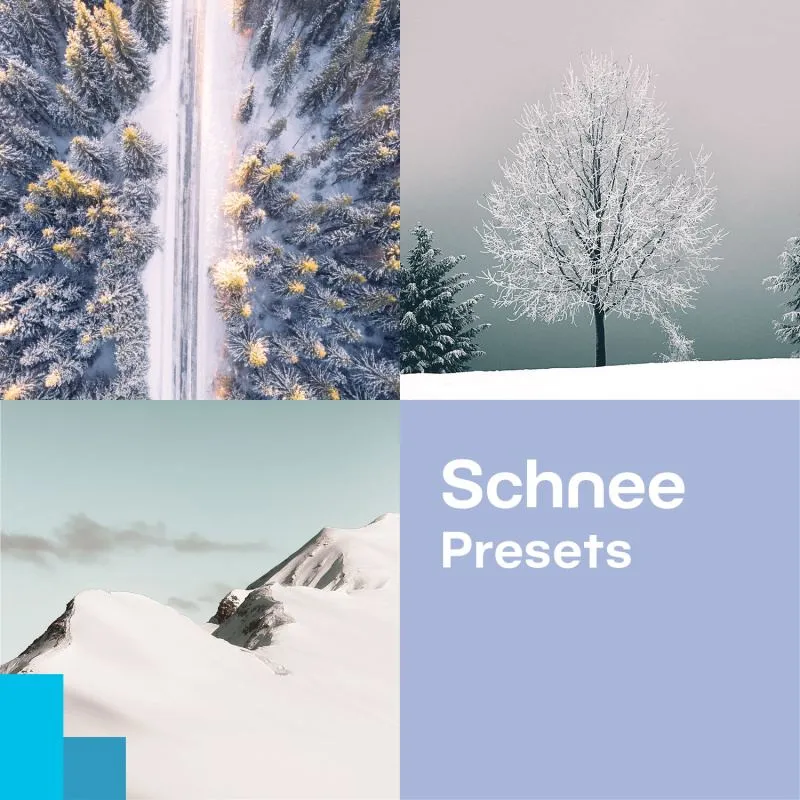 Kostenlose Schnee-Presets von Zoner Photo Studio für atemberaubende Winterbilder