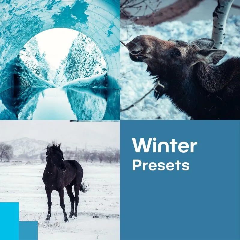 Kostenlose Winter-Presets von Zoner Photo Studio für atmosphärische Winterbilder