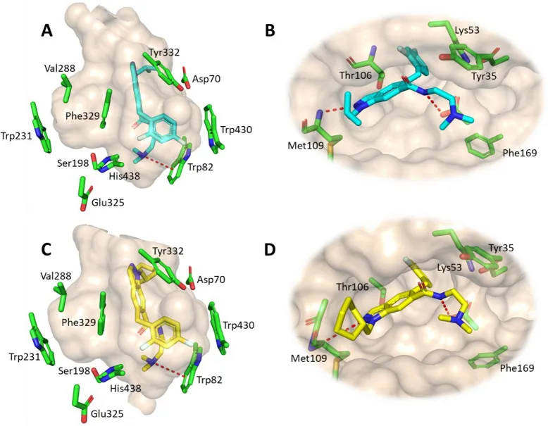 Kristallstrukturen von Verbindungen 94 und 95 mit hBChE und p38α MAPK