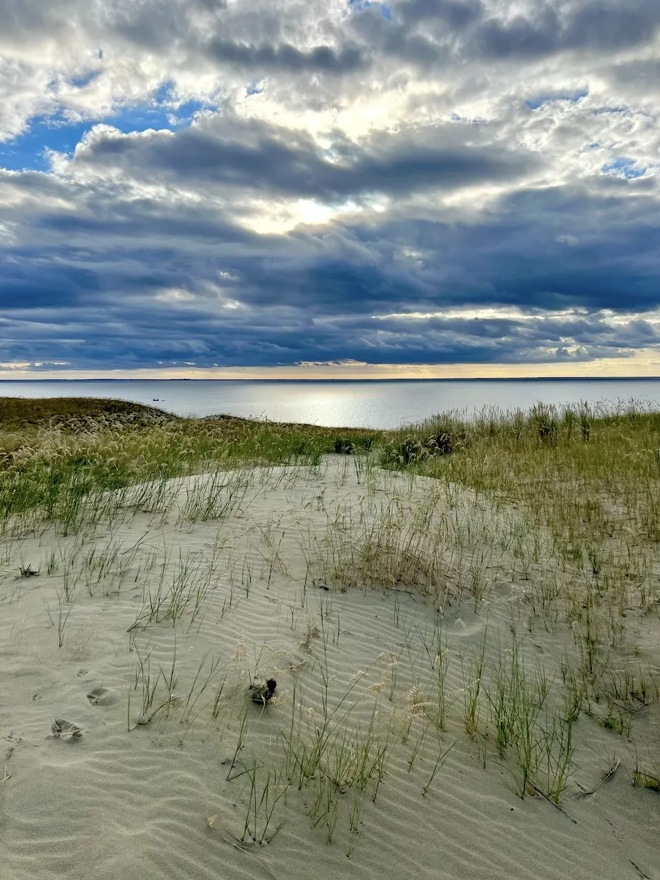 Kurische Nehrung Dünenlandschaft