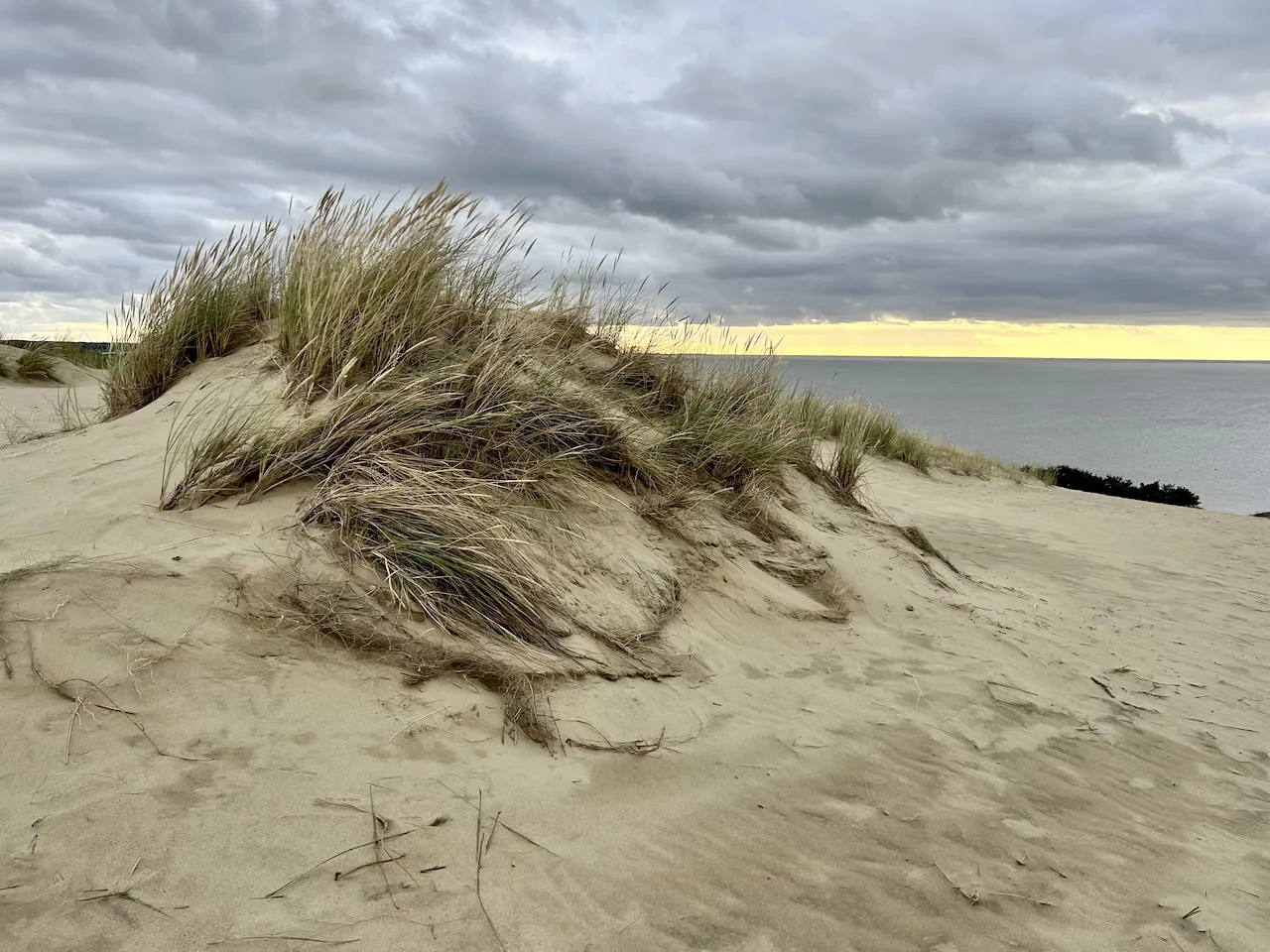 Kurische Nehrung Hohe Düne