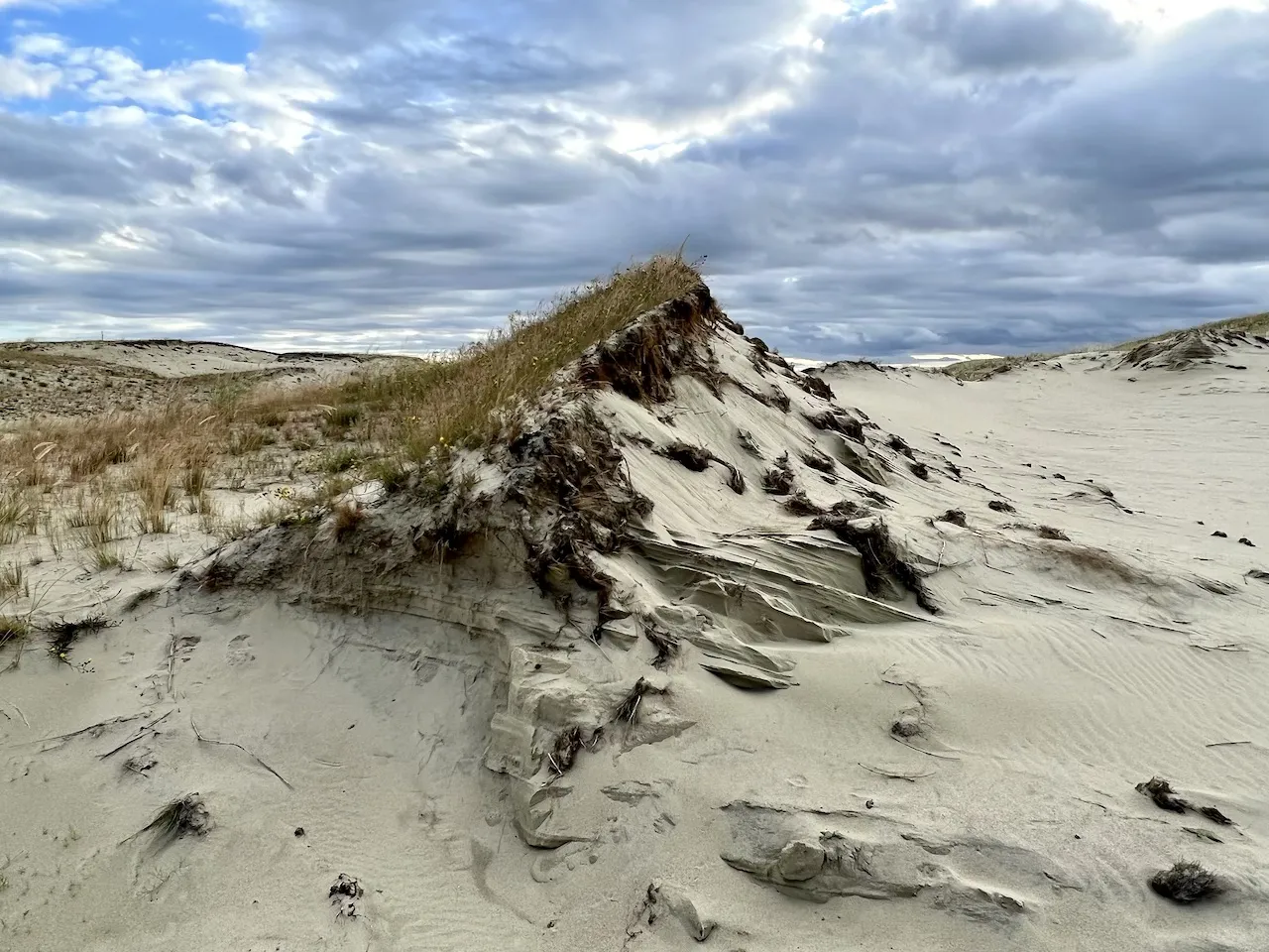Kurische Nehrung Ostseeküste